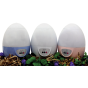 AEE Eco-egg mini washing machine (220V)