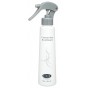 Camellia Seed Hair Essence