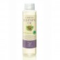 TheEden Camellia Cleansing Oil