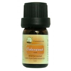 Cedarwood Essential Oil, Wildharvested 