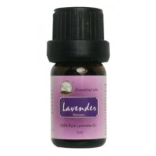 Lavender Essential Oil 