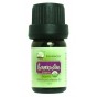 Organic Lavender Essential Oil 