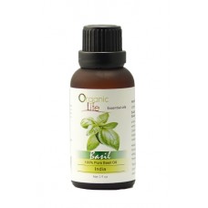 India Basil Essential Oil