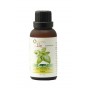 India Basil Essential Oil